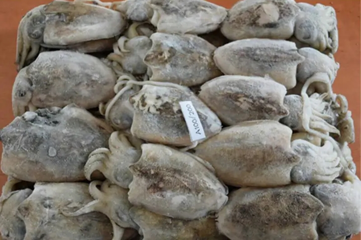 馬來(lái)西亞冷凍墨魚進(jìn)口報(bào)關(guān)流程 馬來(lái)西亞冷凍墨魚進(jìn)口報(bào)關(guān)流程