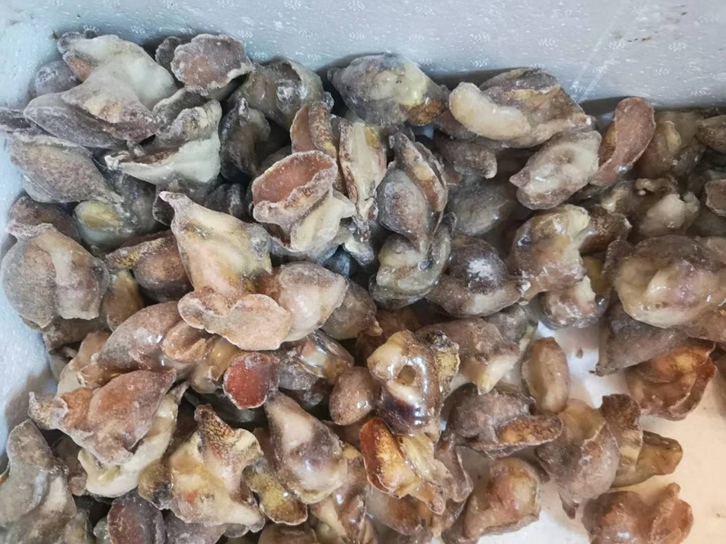 廣州南沙港進口英國冷凍水產(chǎn)品報關(guān) 廣州南沙港進口英國冷凍水產(chǎn)品報關(guān)