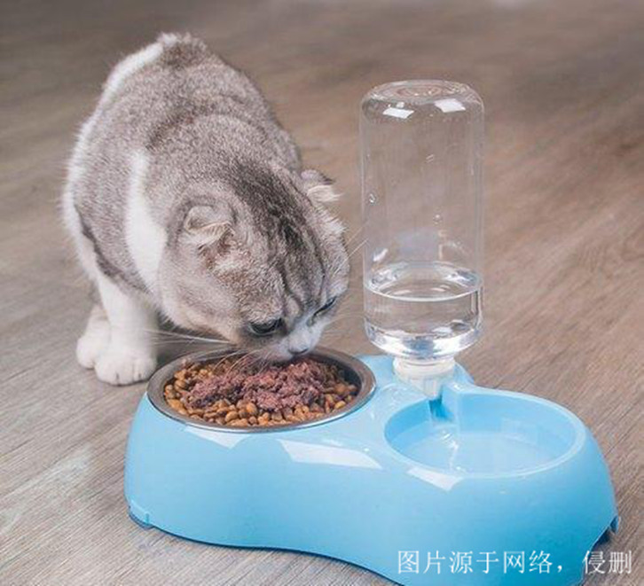 煙臺進口尼泊爾寵物用品報關(guān)資料 煙臺進口尼泊爾寵物用品報關(guān)資料