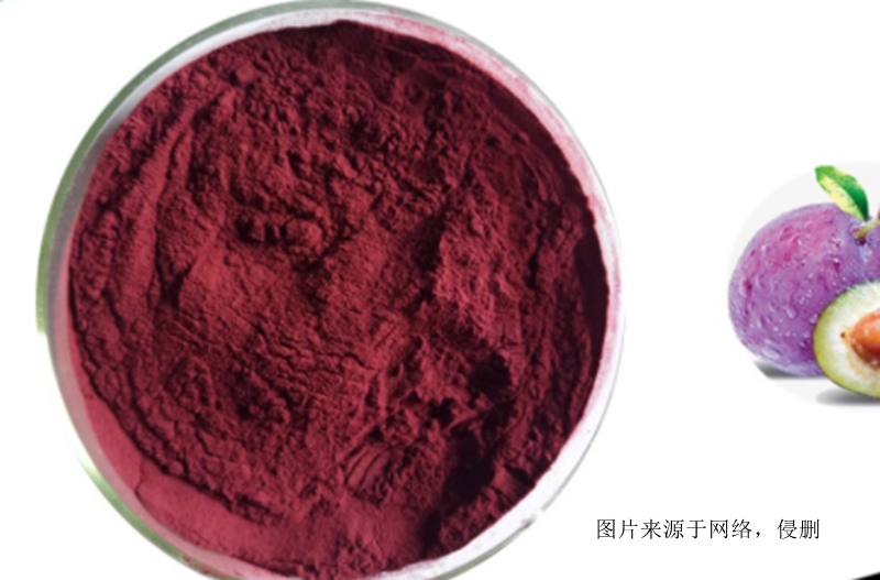 智利西梅果粉進口報關(guān)資料 智利西梅果粉進口報關(guān)資料