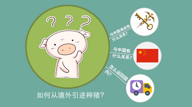 1585790853440189.png 豬肉進(jìn)口清關(guān)