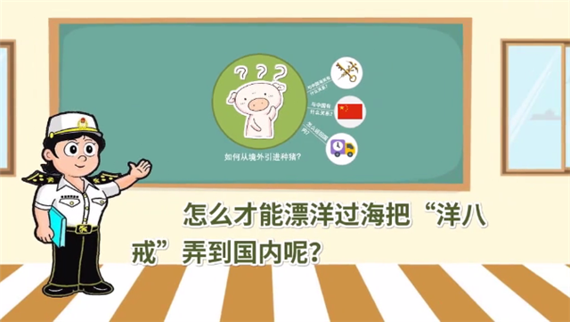 1585790865671345.png 冷凍豬肉進(jìn)口報(bào)關(guān)