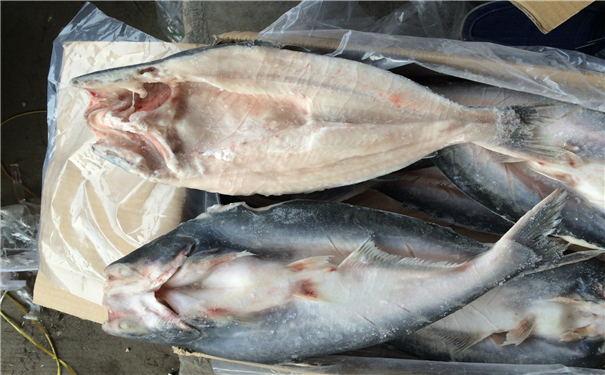 空運海鮮進口報關(guān)代理公司 空運海鮮進口報關(guān)