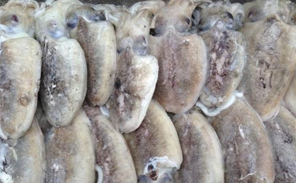 1611833719476844.jpg u=2057594205,3550490556&fm=26&gp=0_副本.jpg