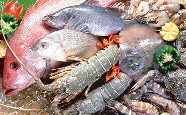 冷凍海鮮進口報關流程 冷凍海鮮進口所需流程