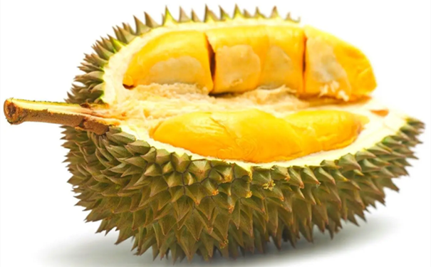 進口馬來西亞榴蓮清關要注意什么呢 進口馬來西亞榴蓮清關