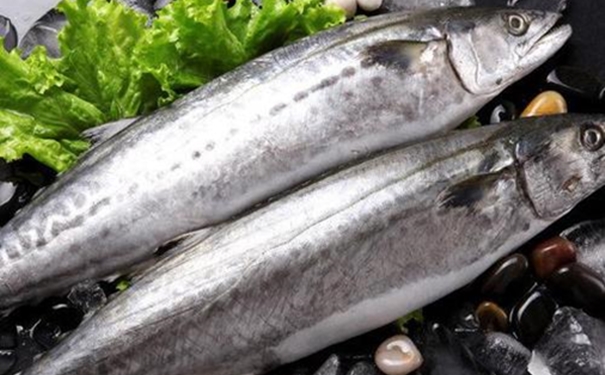 冷凍水產品進口報關如何辦理相關的資料 冷凍水產品進口報關