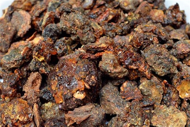 沒藥報關(guān)報檢代理公司告訴你進口報關(guān)方案 沒藥報關(guān)報檢代理公司.jpg