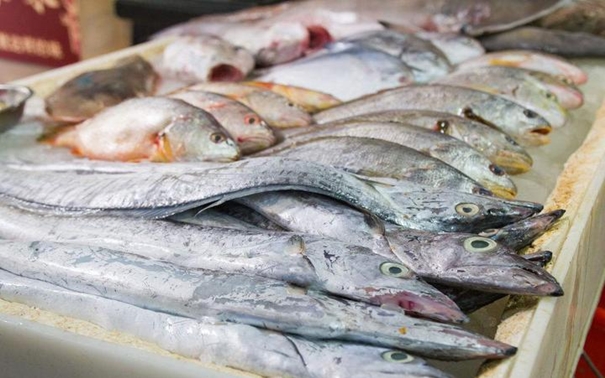 1629369857999060.jpg 青島進口水產品報關