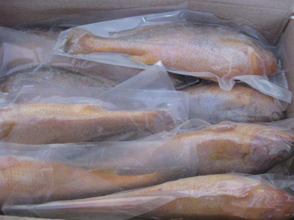 進口韓國海鮮報關 進口韓國海鮮報關