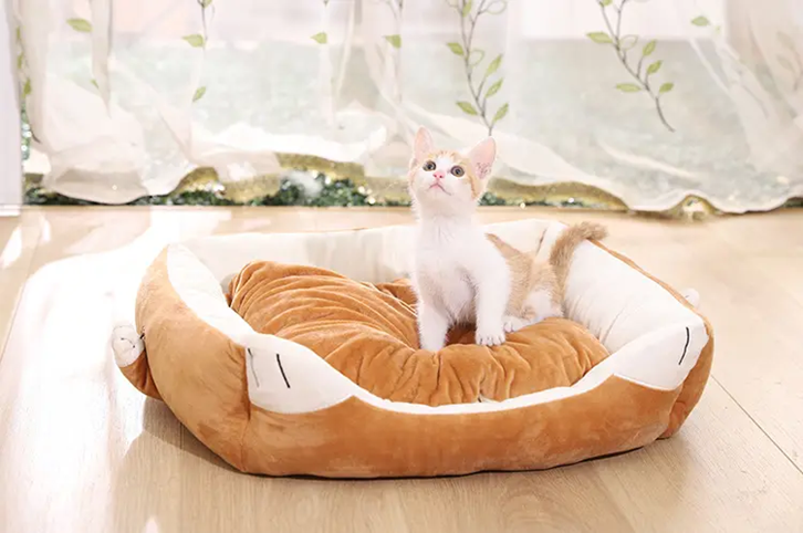 1647855894754245.png 歐洲寵物用品進(jìn)口報(bào)關(guān)_副本.png