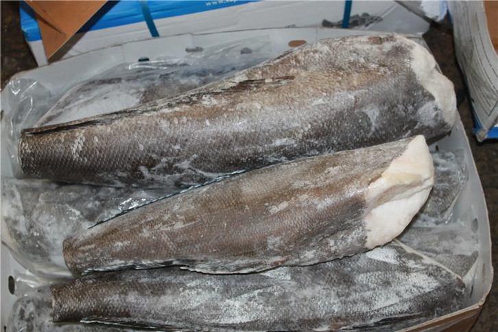 1651835557581090.png 冷凍水產品進口報關公司 (3)_副本.png