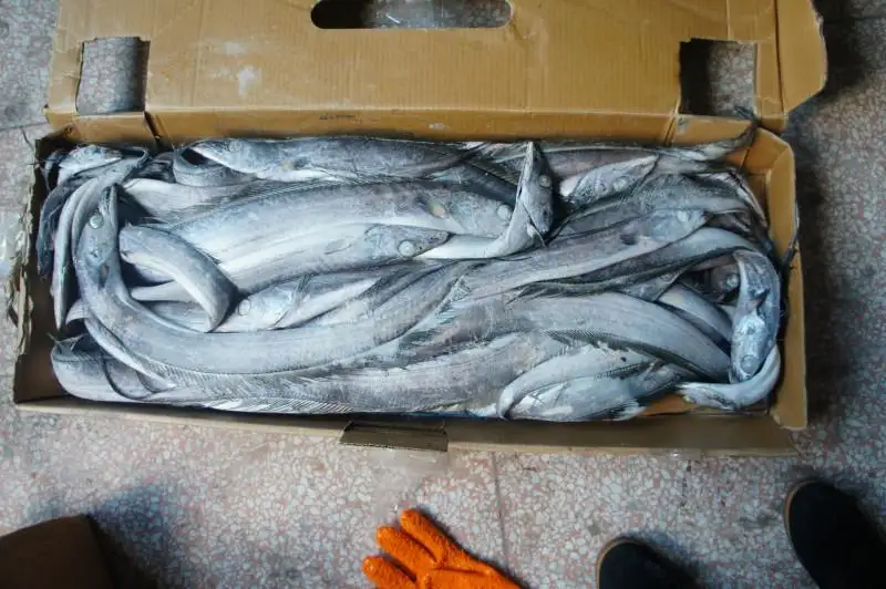 1652958275847590.png 青島凍品進(jìn)口清關(guān)公司.png