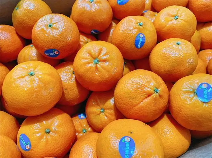 1655891567523973.png 進口巴基斯坦柑橘報關公司.png