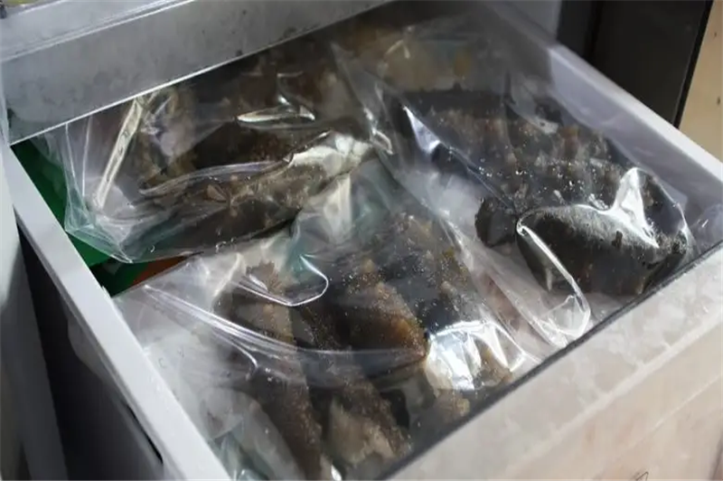 1665399290692941.png 印尼海參進口報關(guān)代理.png