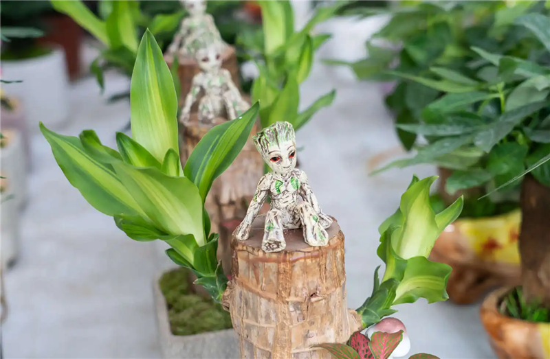 1667555913484890.png 印尼進口巴西木報關.png