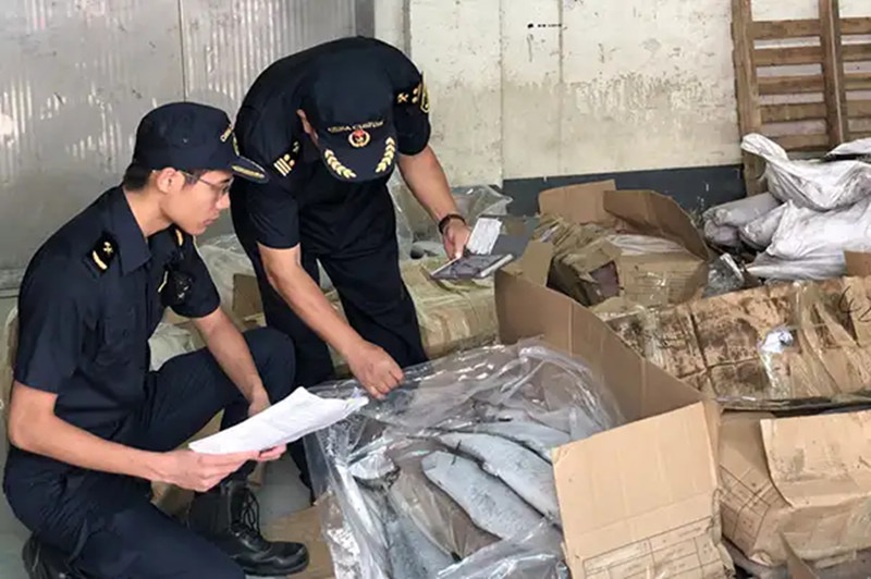 1667997797951232.jpg 水產(chǎn)品進(jìn)口廣州機(jī)場報(bào)關(guān).jpg