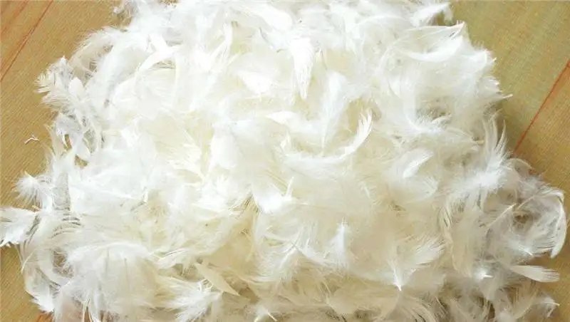 越南鴨毛進口報關(guān)資料